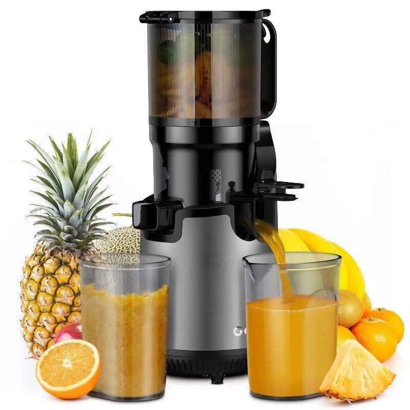 Cold Press Masticating Juicer